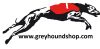 Greyhoundsop