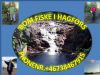 Bomfiske