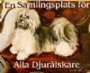 Hund & Katt Nytt