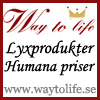 Way To Life - Allt fr kropp och sjl