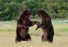 EcoWatch Wildlife Expeditions
