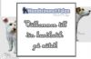 Hundtrimmet Falun Webshop